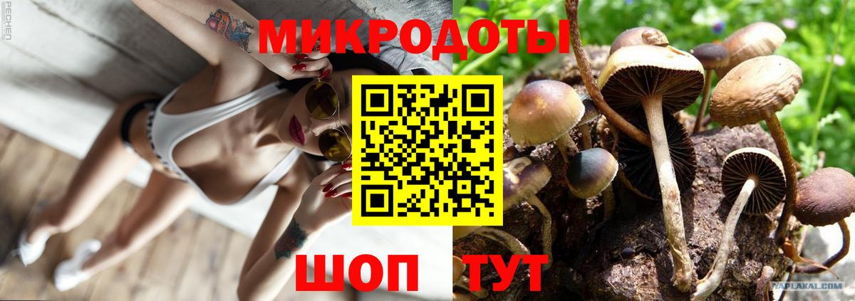 Галлюциногенные грибы ЛСД  Вход с VPN  Галлюциногенные грибы Psilocybe  Луга 